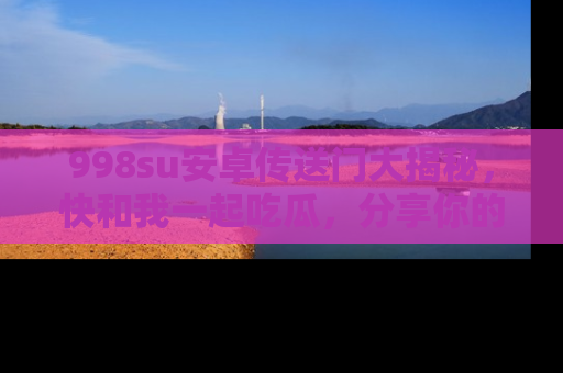 998su安卓传送门大揭秘,快和我一起吃瓜,分享你的发现!
