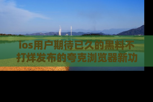 ios用户期待已久的黑料不打烊发布的夸克浏览器新功能上线啦!