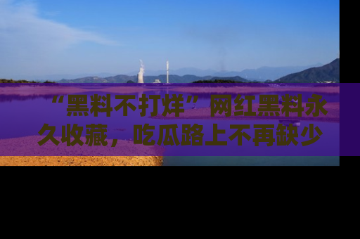 “黑料不打烊”网红黑料永久收藏，吃瓜路上不再缺少惊喜与乐趣