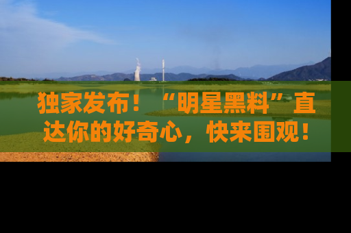 独家发布！“明星黑料”直达你的好奇心，快来围观！