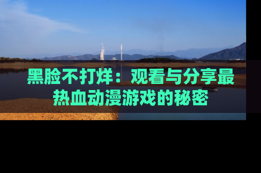 黑脸不打烊：观看与分享最热血动漫游戏的秘密