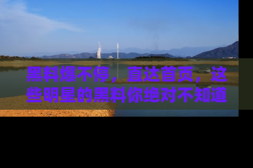 黑料爆不停，直达首页，这些明星的黑料你绝对不知道！