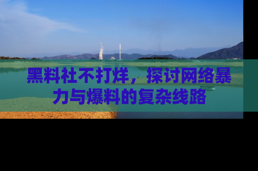 黑料社不打烊，探讨网络暴力与爆料的复杂线路