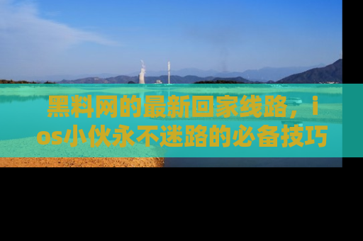 黑料网的最新回家线路，ios小伙永不迷路的必备技巧！