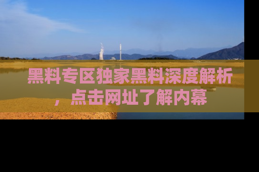 黑料专区独家黑料深度解析，点击网址了解内幕