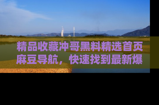 精品收藏冲哥黑料精选首页麻豆导航，快速找到最新爆料