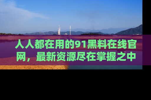 人人都在用的91黑料在线官网，最新资源尽在掌握之中
