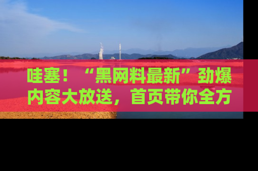 哇塞!“黑网料最新”劲爆内容大放送,首页带你全方位了解哦,小可爱们