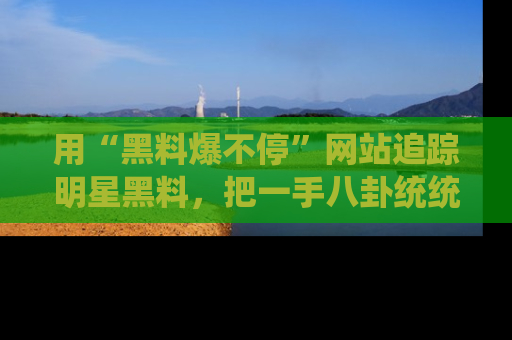 用“黑料爆不停”网站追踪明星黑料，把一手八卦统统收进你的后宫中！