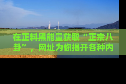 在正料黑能量获取“正宗八卦”，网址为你揭开各种内幕故事！